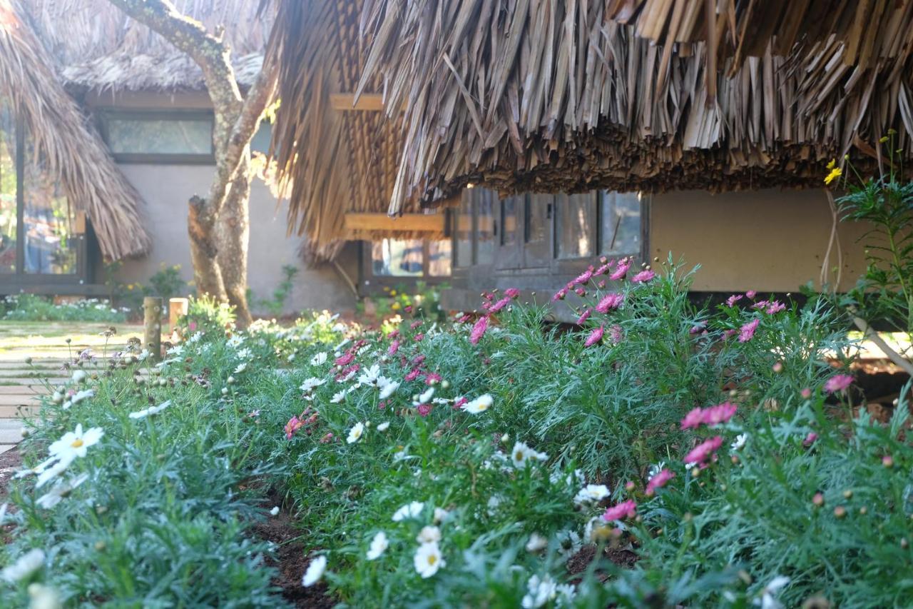 L'Amant Homestay دالات المظهر الخارجي الصورة