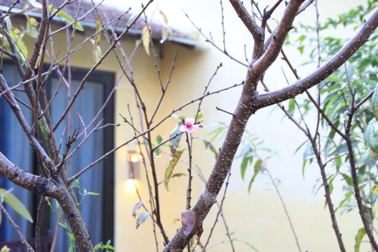 L'Amant Homestay دالات المظهر الخارجي الصورة