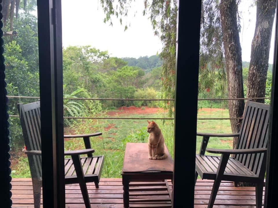 L'Amant Homestay دالات المظهر الخارجي الصورة